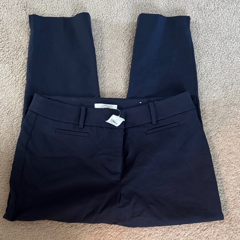 LOFT navy Blue riviera pant size 10